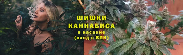 2c-b Гусь-Хрустальный
