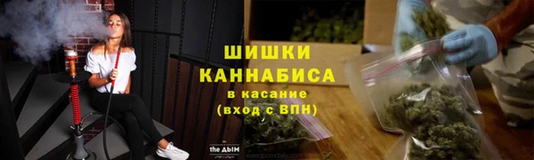крисы Гусиноозёрск