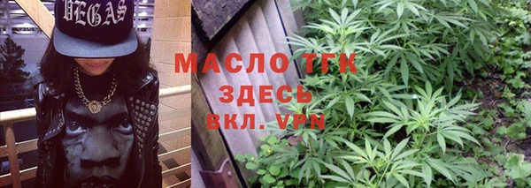 крисы Дмитров