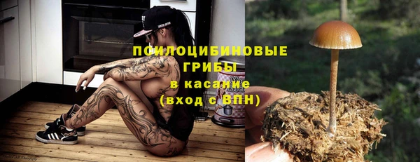МДПВ Гусев