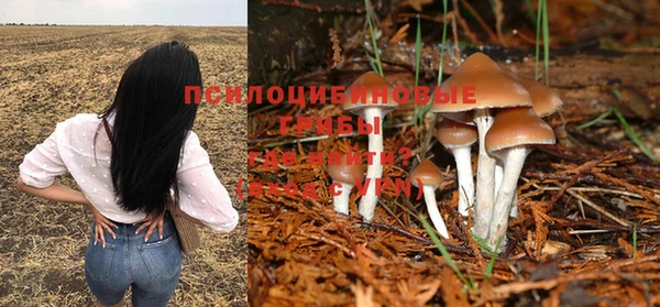 МДПВ Гусев